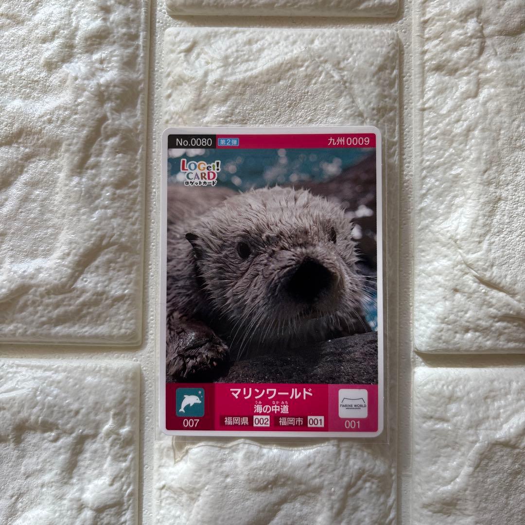 激レア　ロゲットカード　マリンワールド海の中道　ラッコ　リロ君