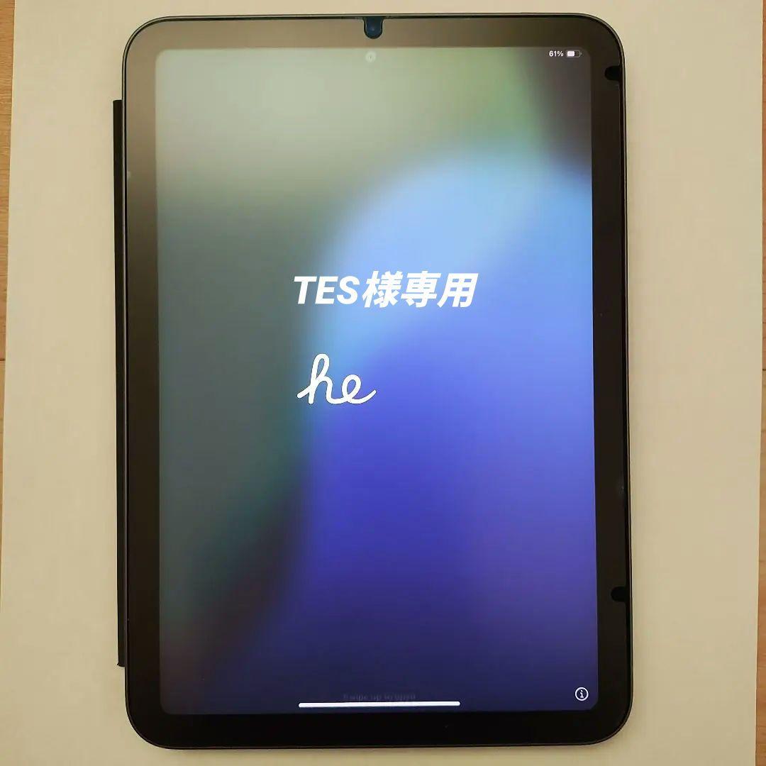 TES　中古 iPad mini 6th wifi 256GB