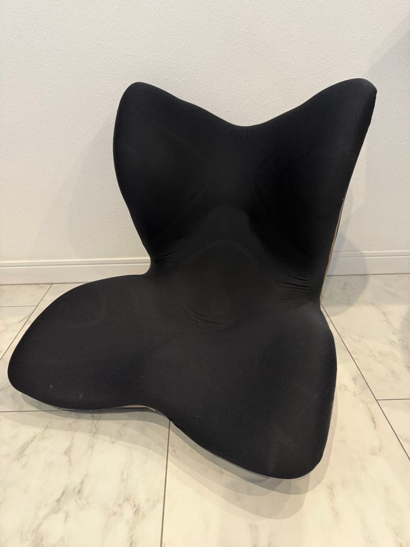 MTG 骨盤サポートチェア Style PREMIUM スタイル プレミアム