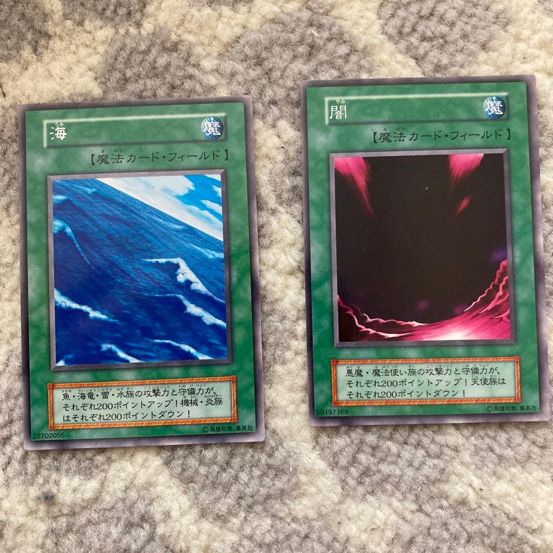 森、荒野、山、草原、海、闇　6枚セット