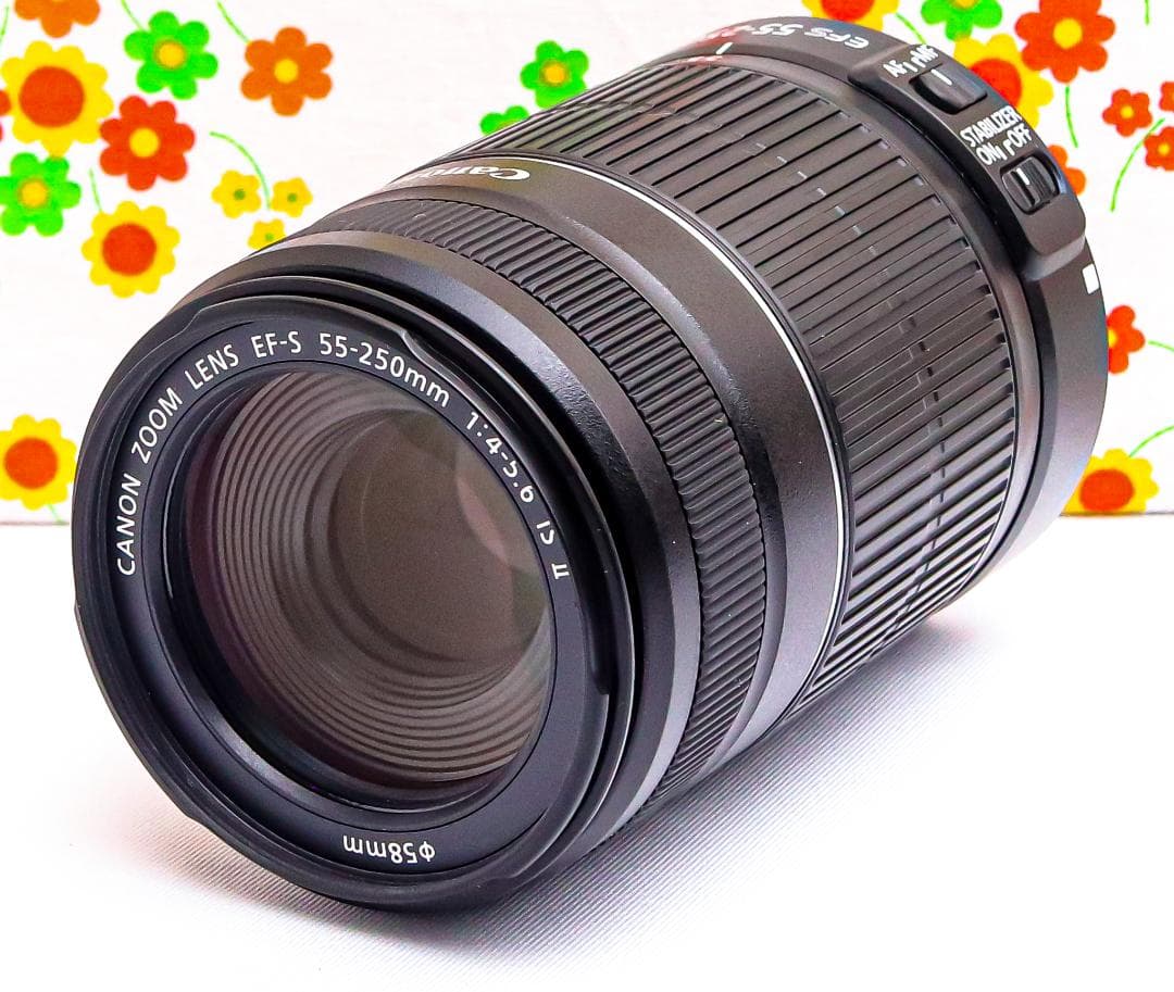 Canon EF-S 55-250mm IS Ⅱ☆手振れ補正☆望遠レンズ