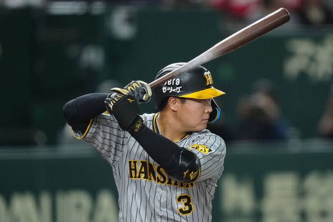 阪神タイガース　大山悠輔 2024バット NPBマーク 支給品 新品 くり抜き