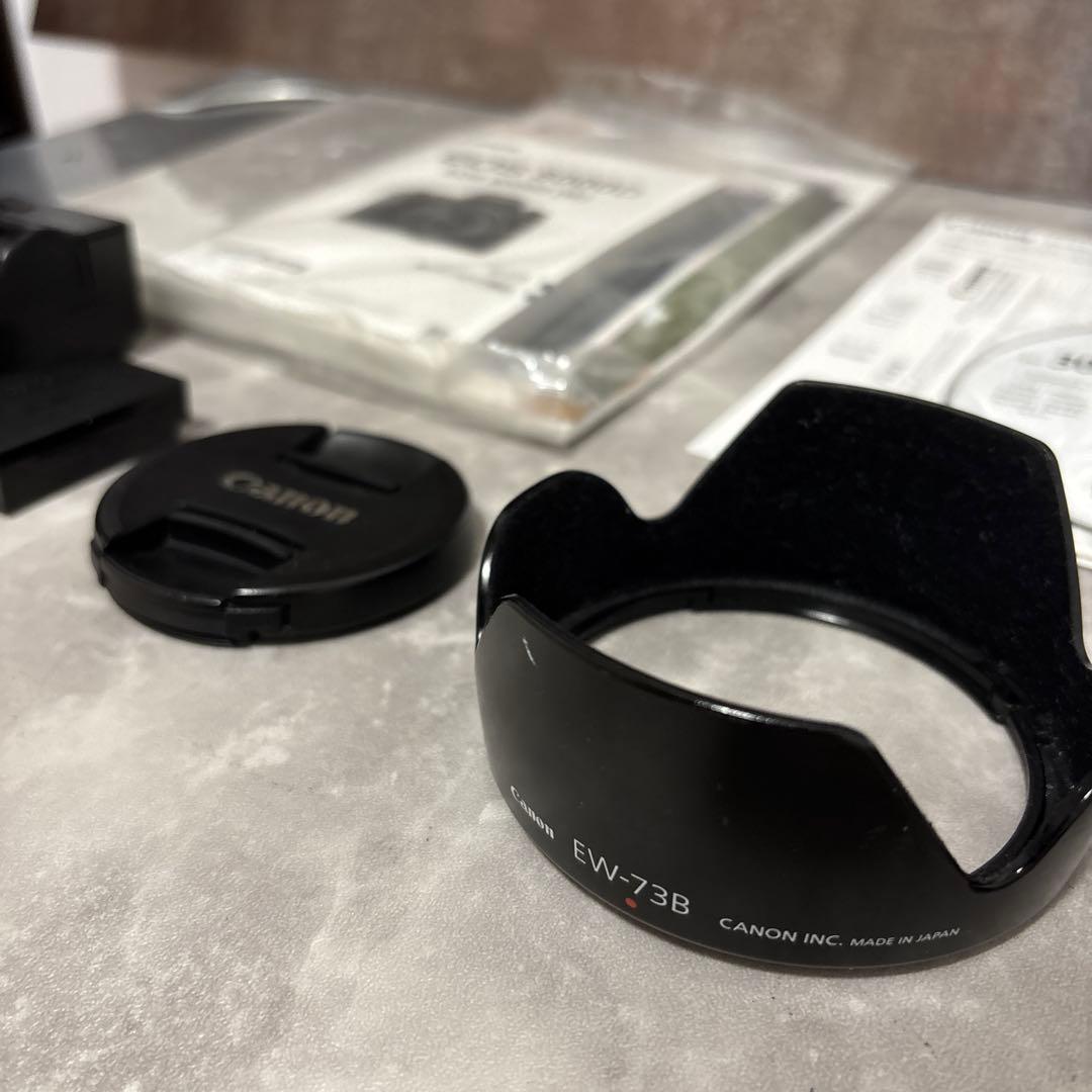 【極上・完動品】Canon 8000D EF18-135mm wifi機能あり