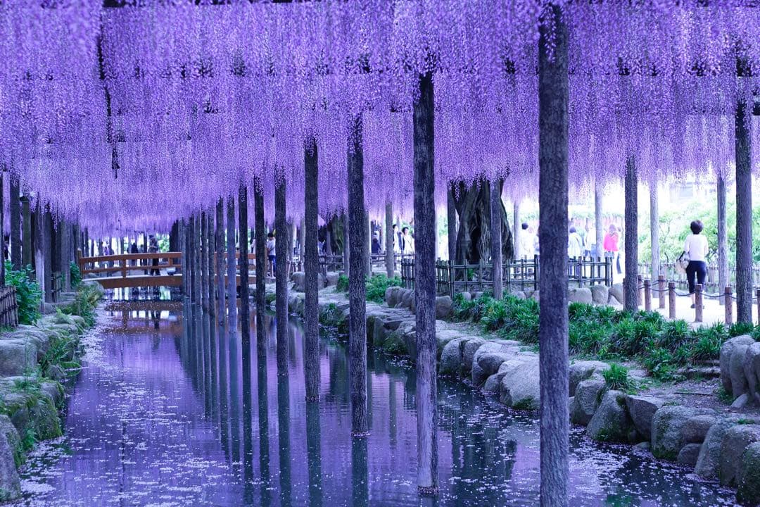 【極上・完動品】Canon 8000D EF18-135mm wifi機能あり