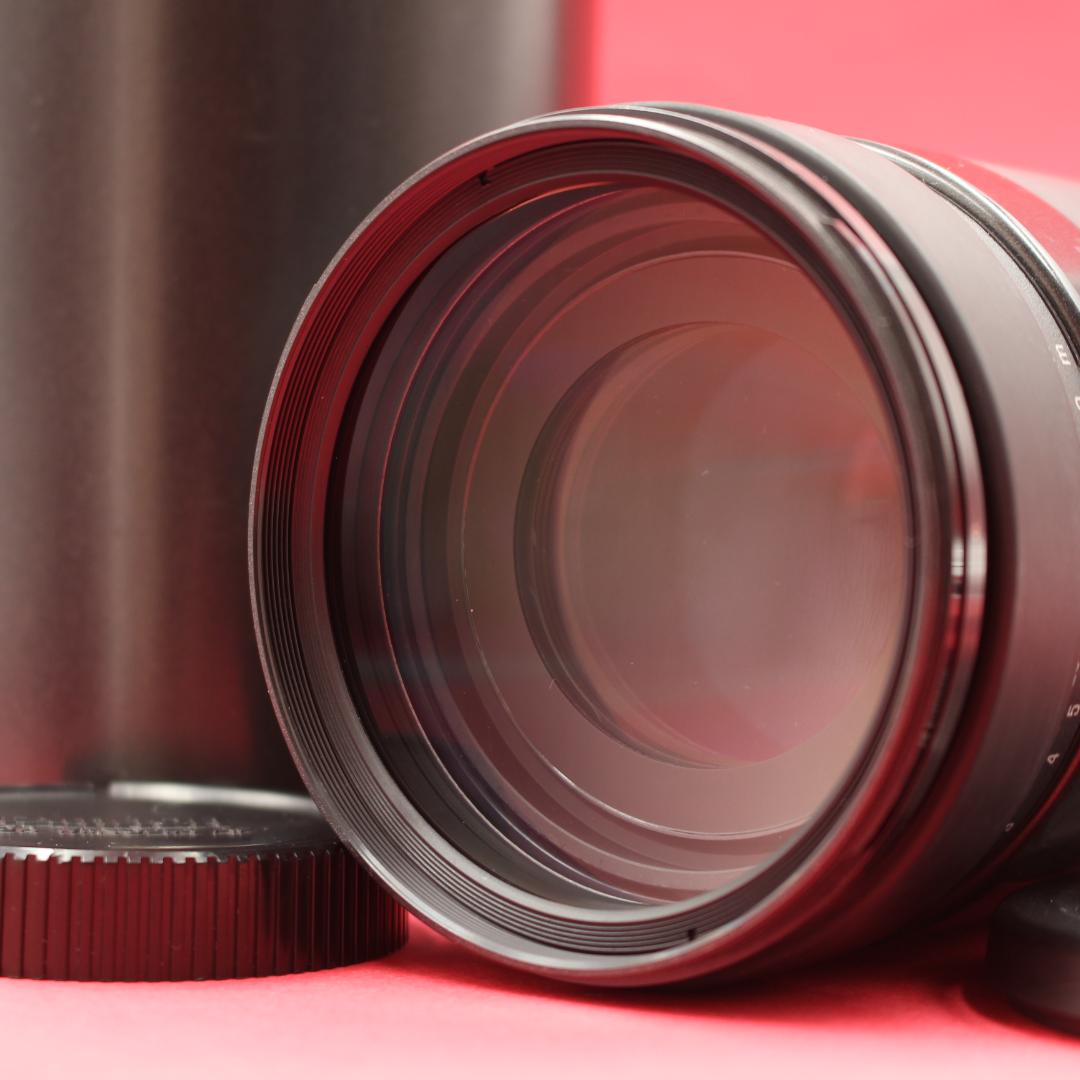 ❤️超望遠❤️TAMRON 200-400mm❤️野鳥・スポーツ撮影❤️