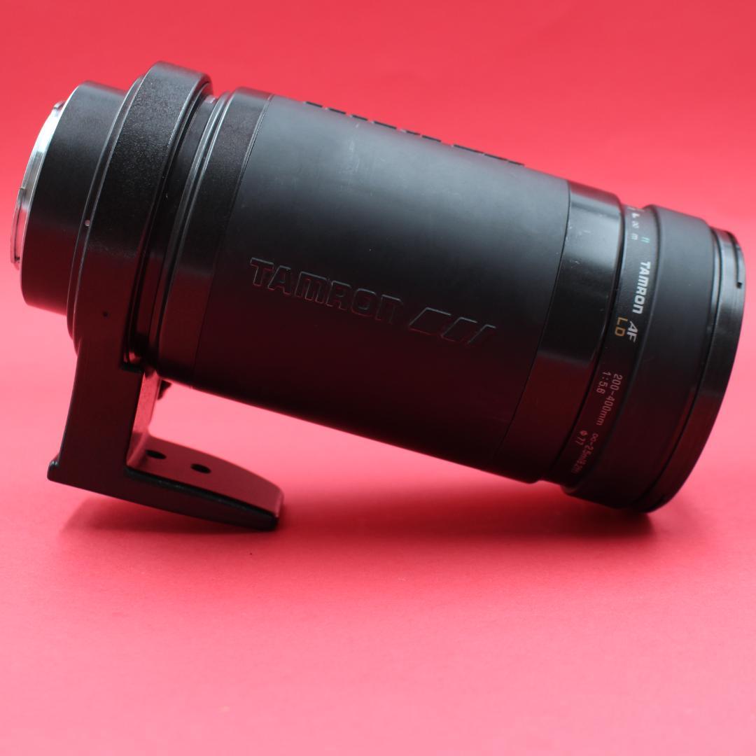 ❤️超望遠❤️TAMRON 200-400mm❤️野鳥・スポーツ撮影❤️