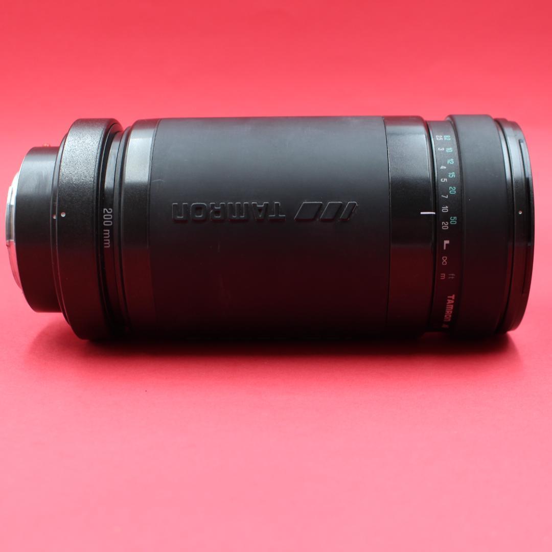 ❤️超望遠❤️TAMRON 200-400mm❤️野鳥・スポーツ撮影❤️