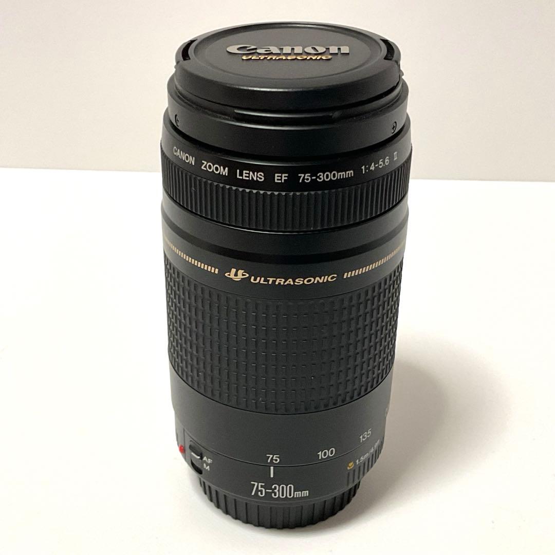CANON キャノンズームレンズ　EF 75-300 F4-5.6Ⅱ ケース付き