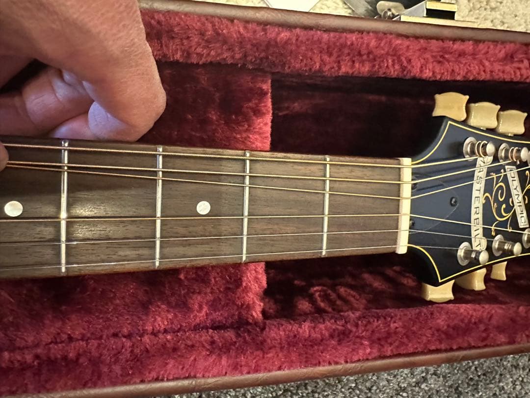 Epiphone Century Olympic 専用ハードケース