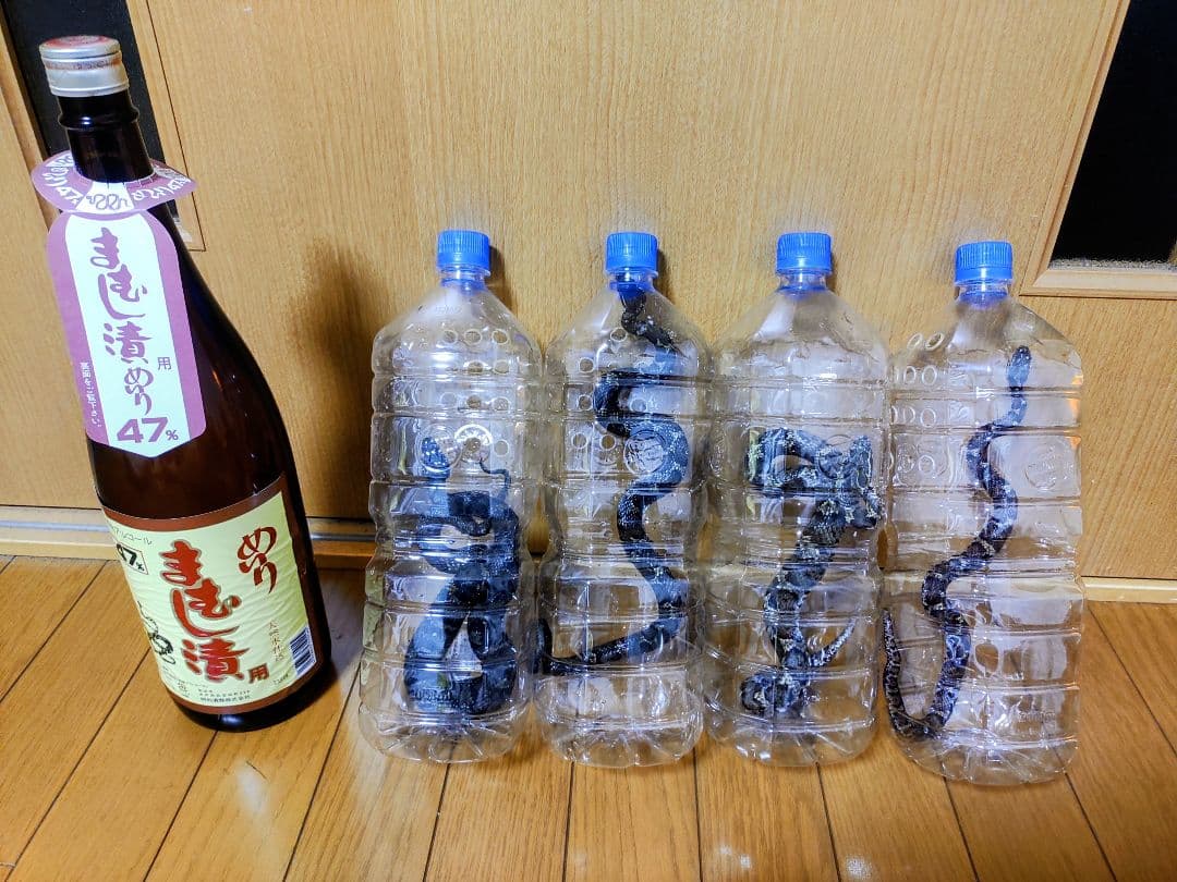 NPT！4匹セット！まむし酒　マムシ酒
