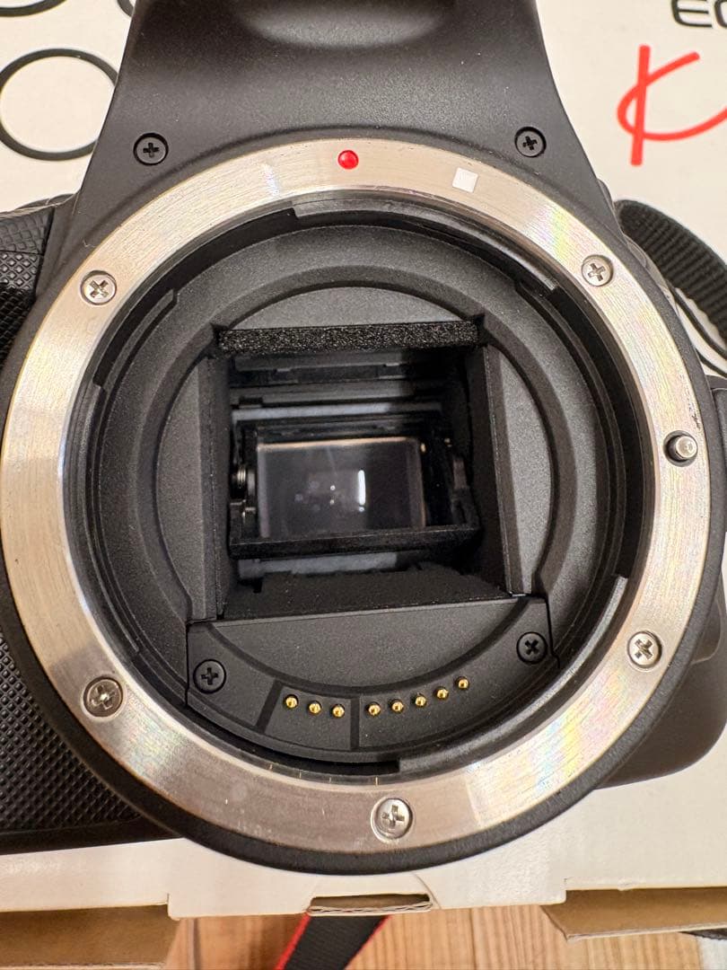 キヤノン Canon EOS Kiss X7 ダブルズーム　レンズキット