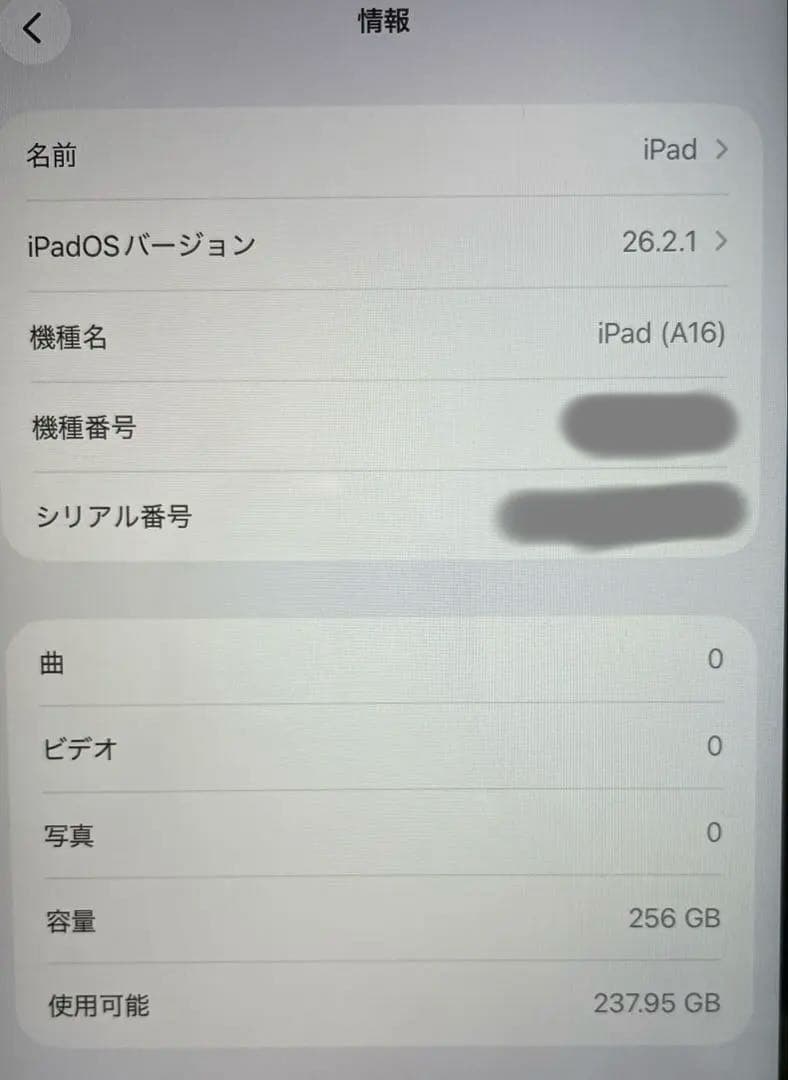 【中古】　Apple ipad (A16) Wi-Fi 256GB