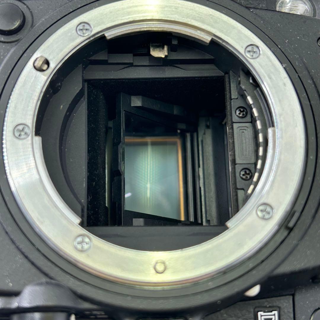 Nikon ニコン D7000 付属品あり