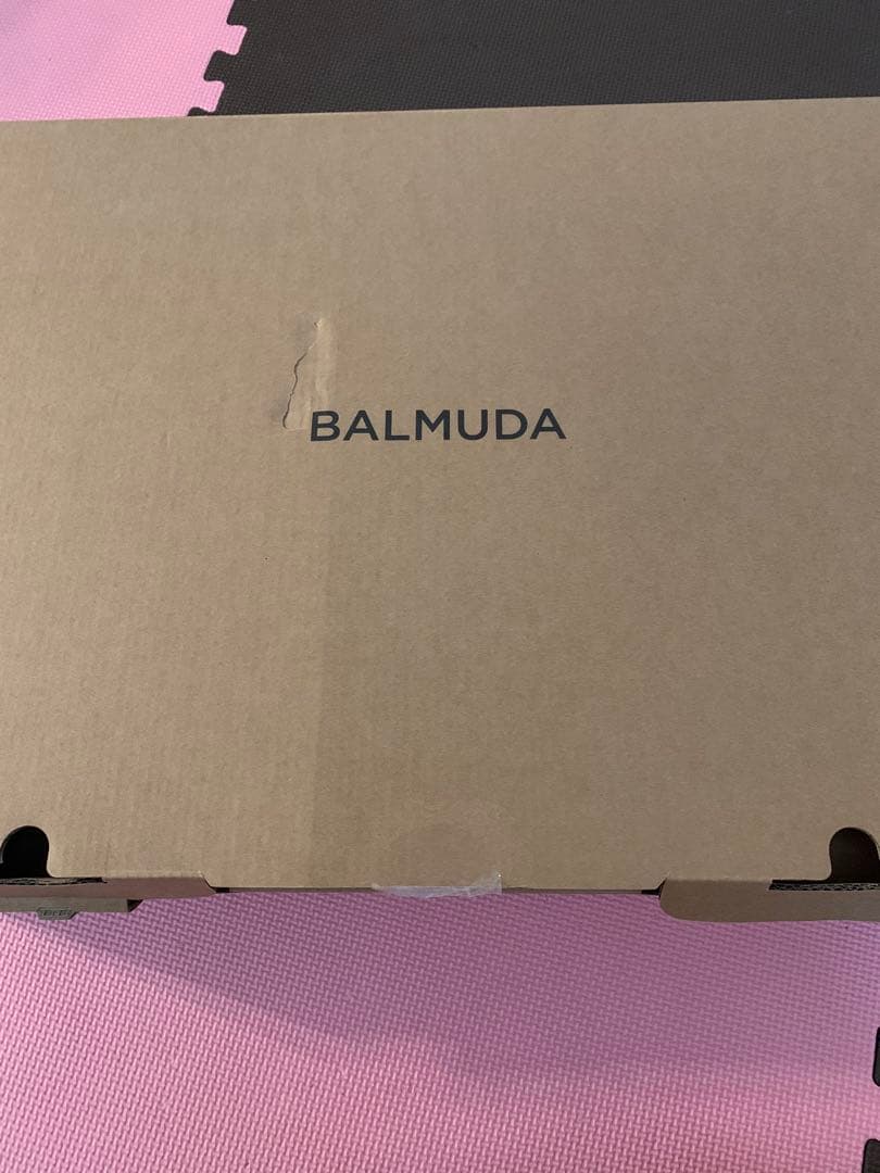 BALMUDA The Plate Pro 別売りプレート付き