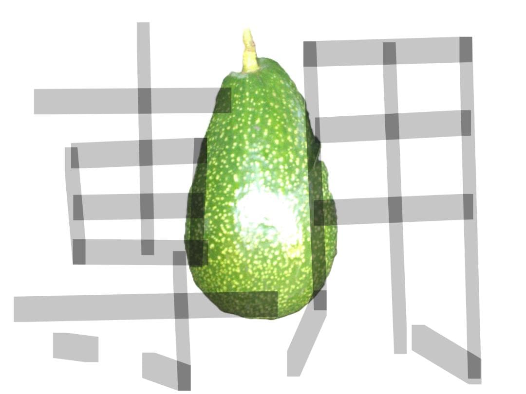 たける タイサンボク　リトルジェム