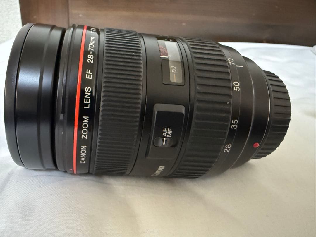 曇りあり　Canon EF 28-70 f2.8 L 大三元レンズ