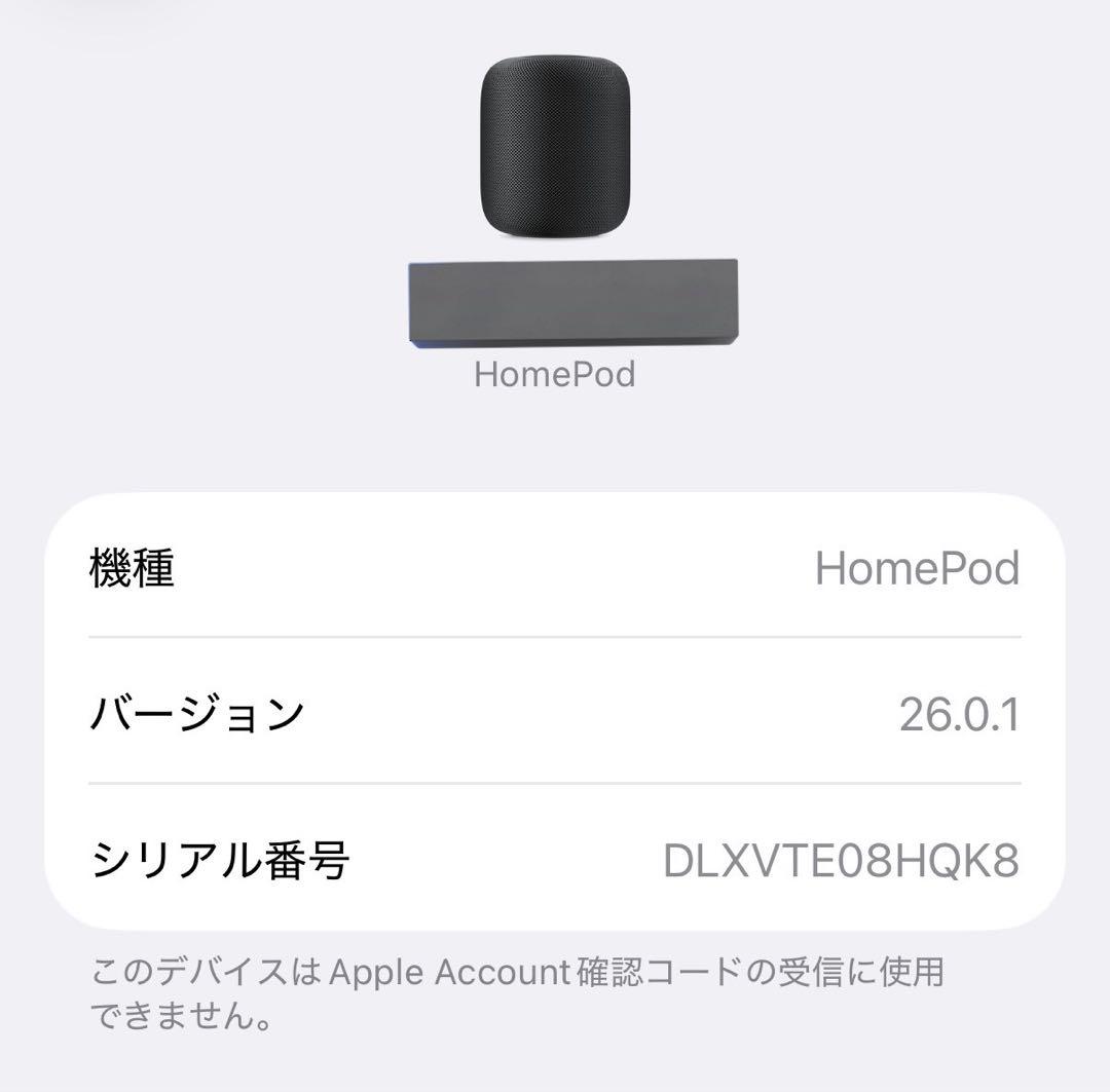 Apple Pod 第1世代 スペースグレー 2台セット