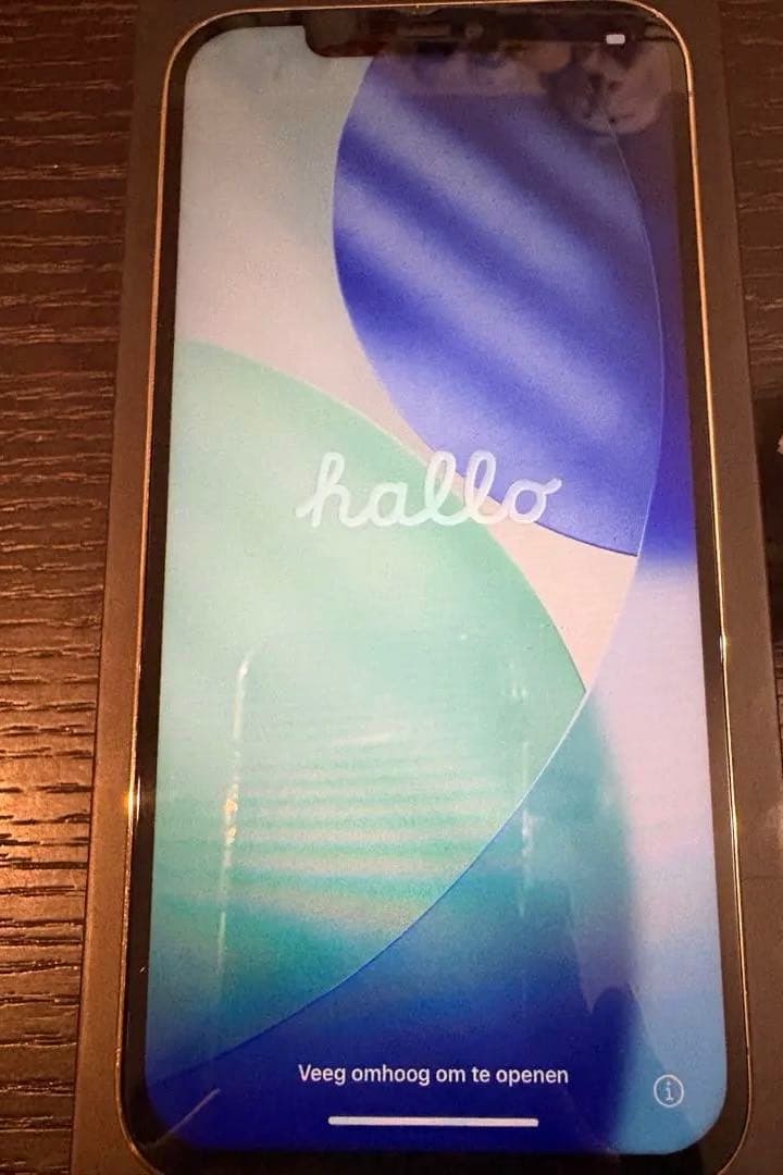 Apple iPhone 12 Pro Max 本体 ジャンク