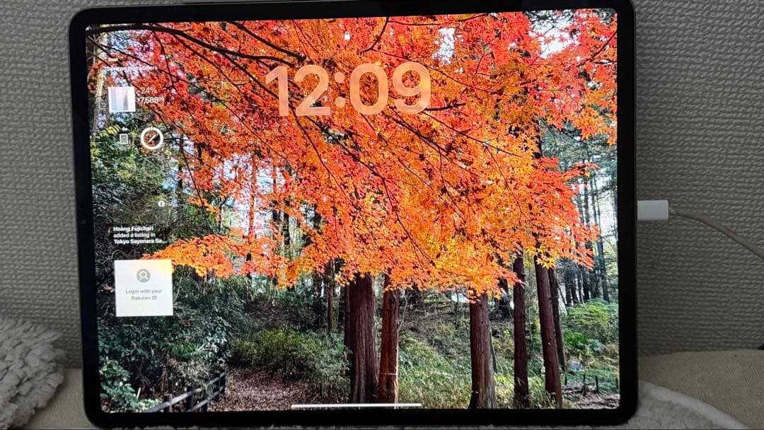 iPad Pro 12.9 第4世代 256GB Wi-Fi