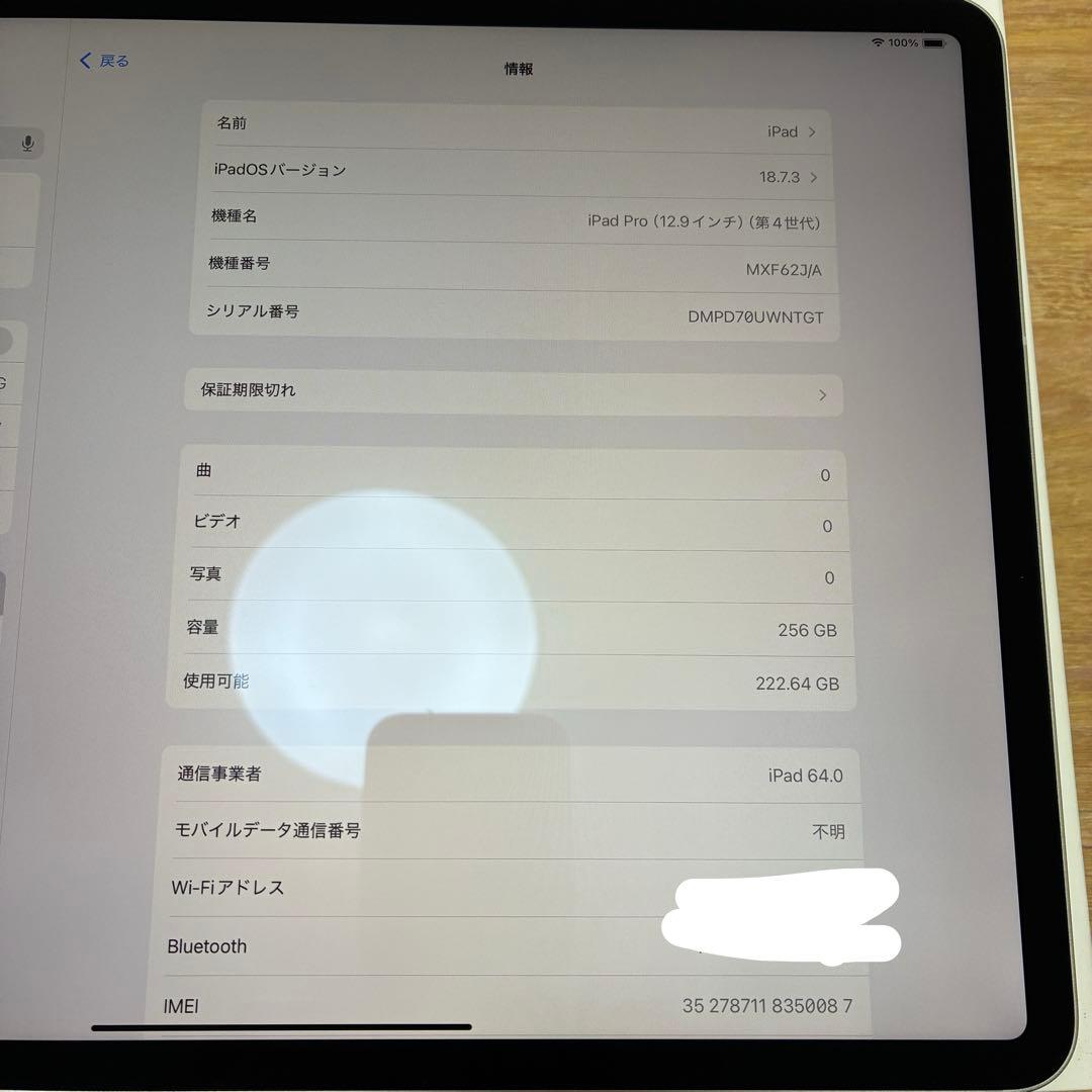iPadPro 12.9インチ 第4世代 Wi-FiCellular 256GB
