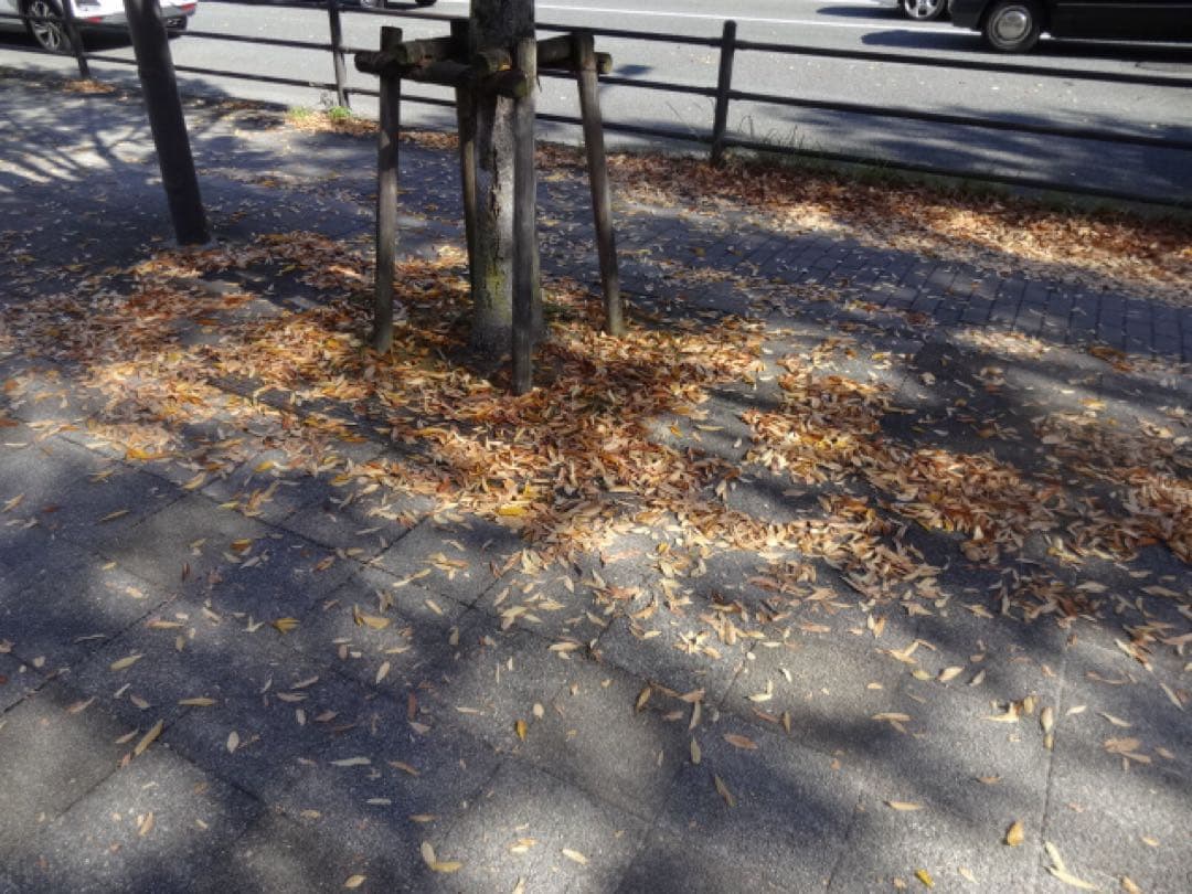 SONY Cyber-shot DSC-WX200 コンデジ 動作品 作例有