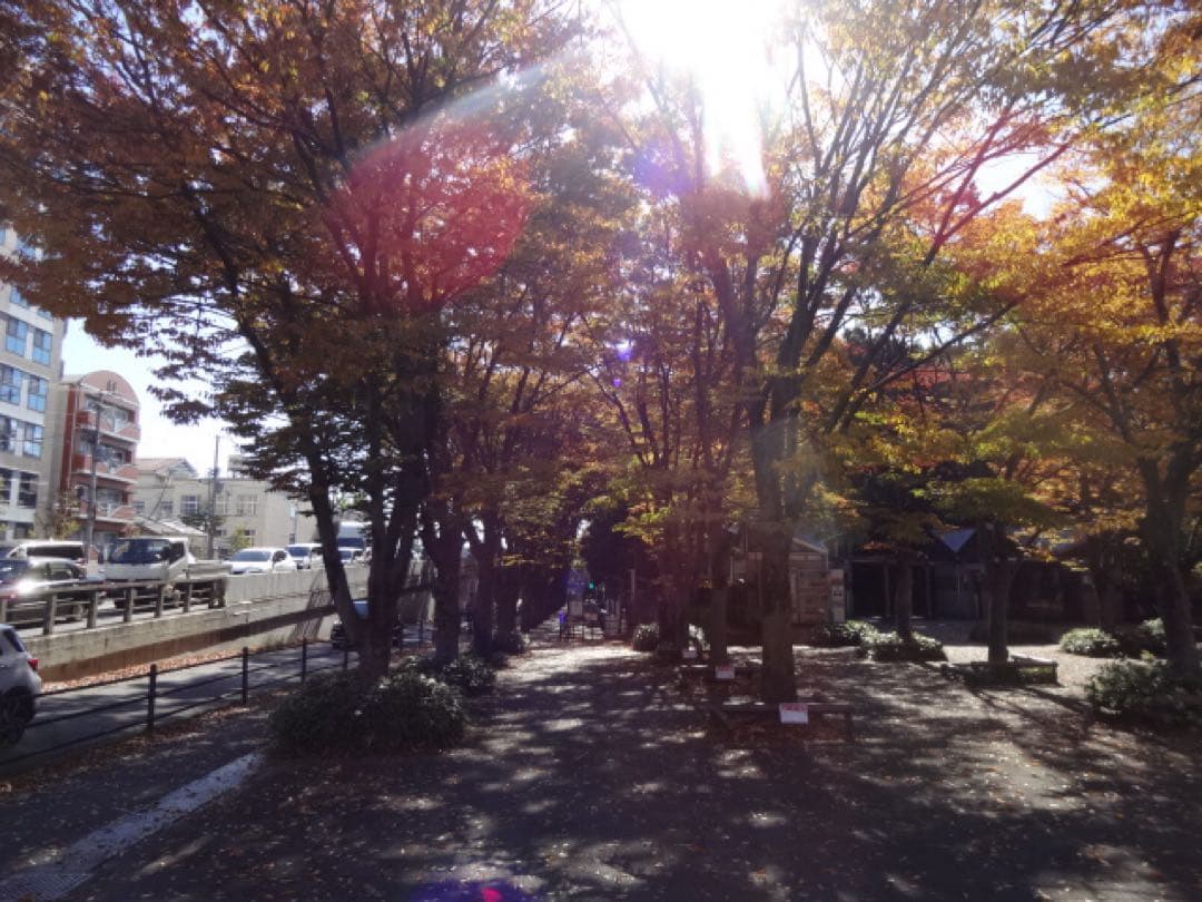 SONY Cyber-shot DSC-WX200 コンデジ 動作品 作例有