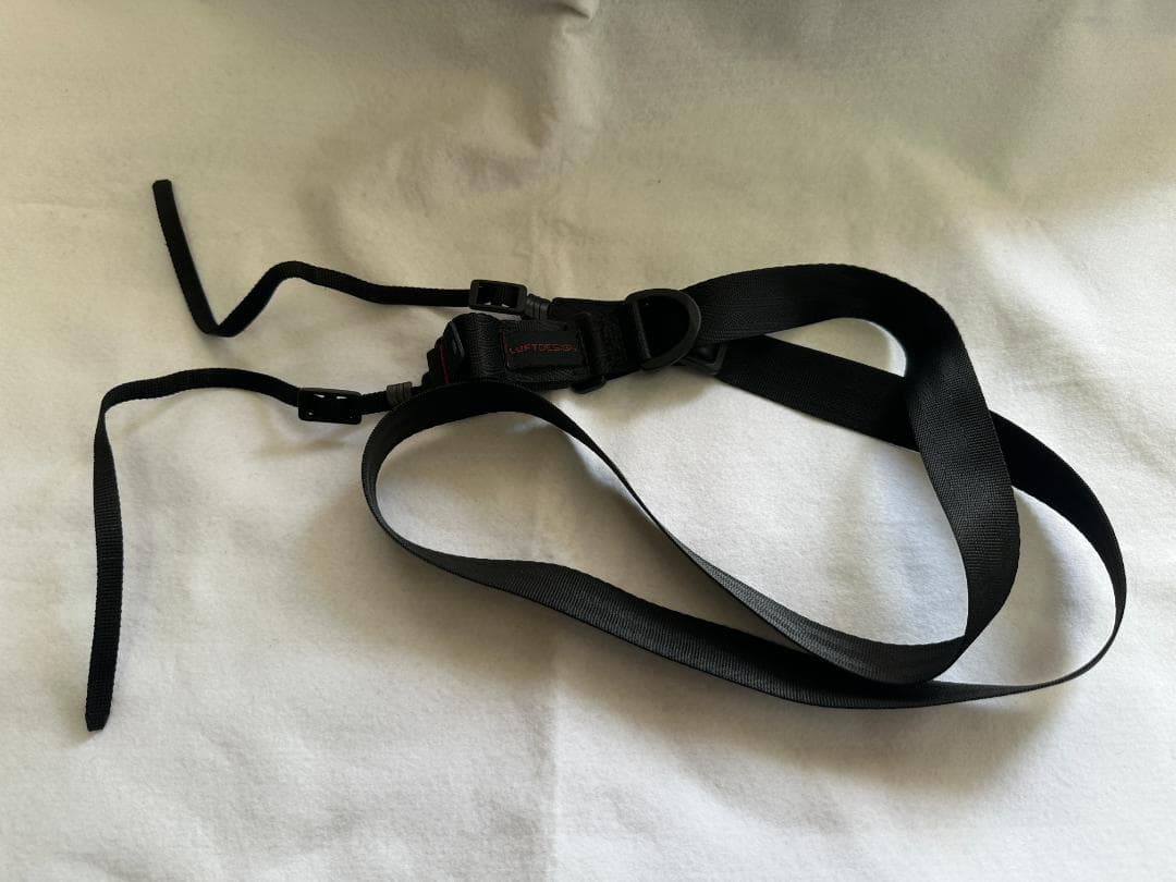 SONY α6600 ボディ 本体（購入時付属品＋おまけ付き）