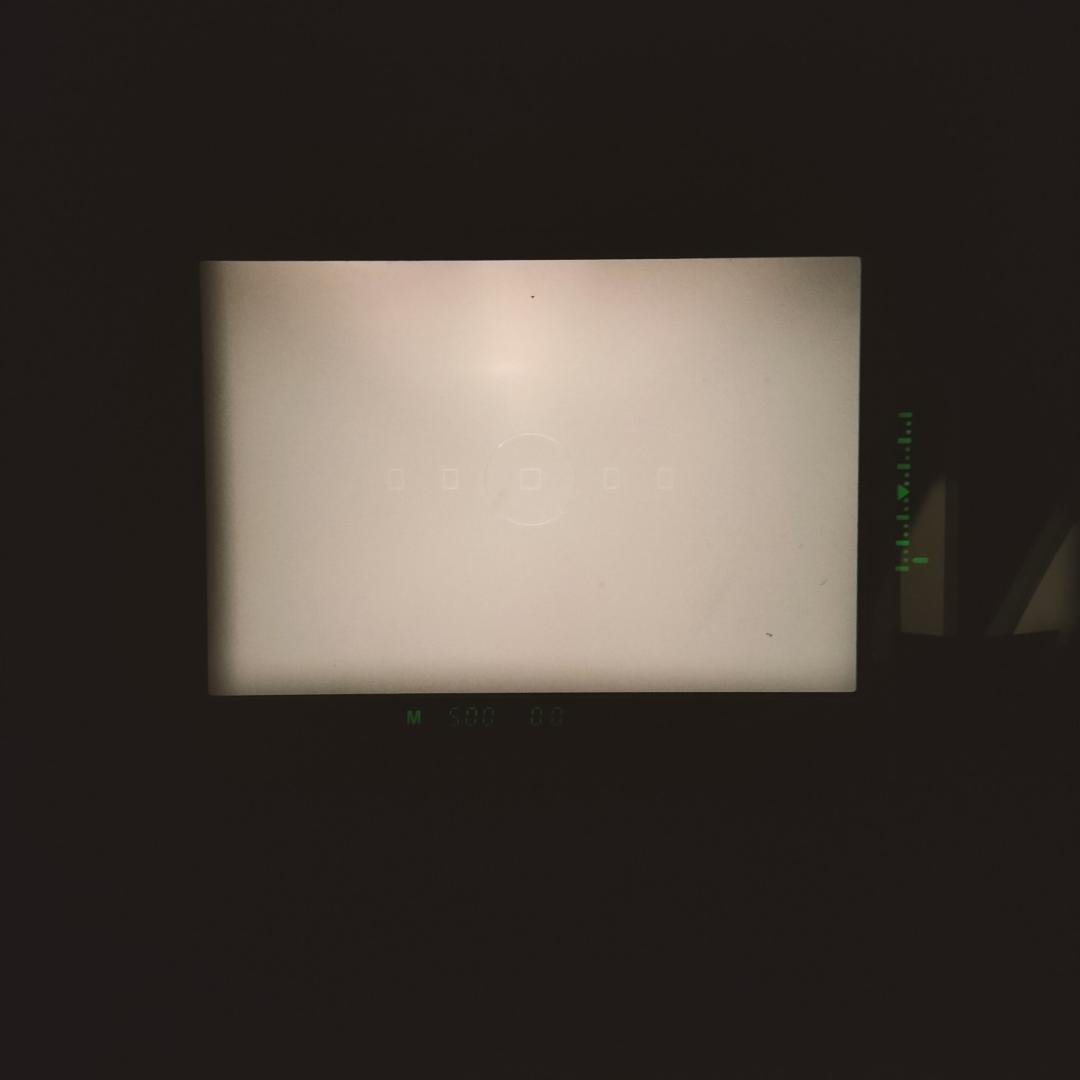 Canon EOS-1N フィルムカメラ