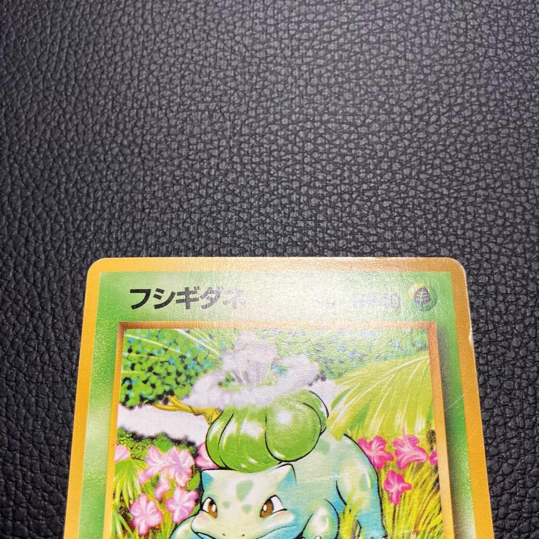 フシギダネ　旧裏　初版　マークなし　ポケモンカード