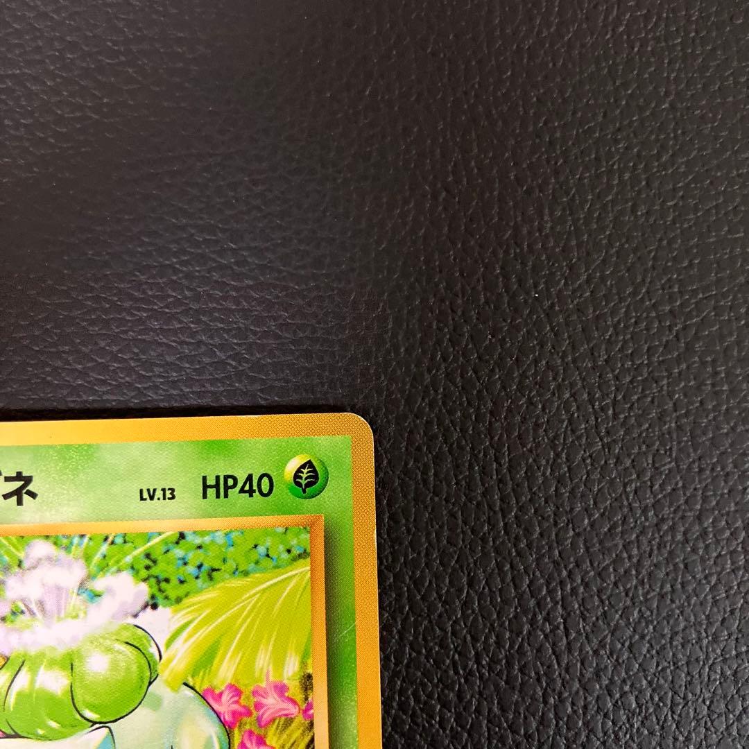 フシギダネ　旧裏　初版　マークなし　ポケモンカード