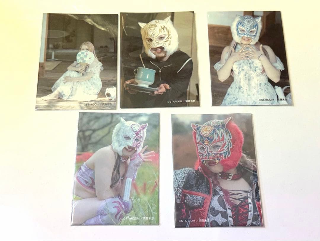 女子プロレス　スターダム　スターライト・キッド　カード　全5種　コンプリート