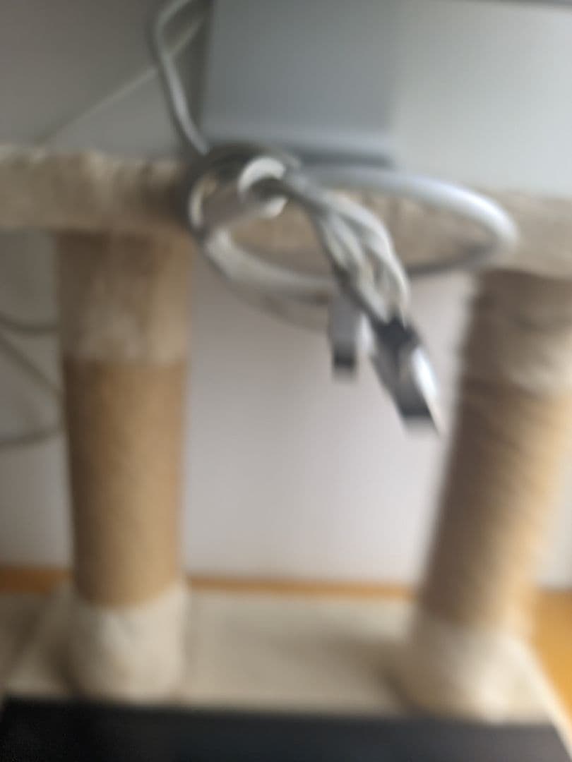 ディスプレイ・モニター本体 apple work station pro