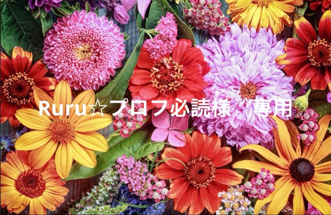 Ruru☆プロフ必読R