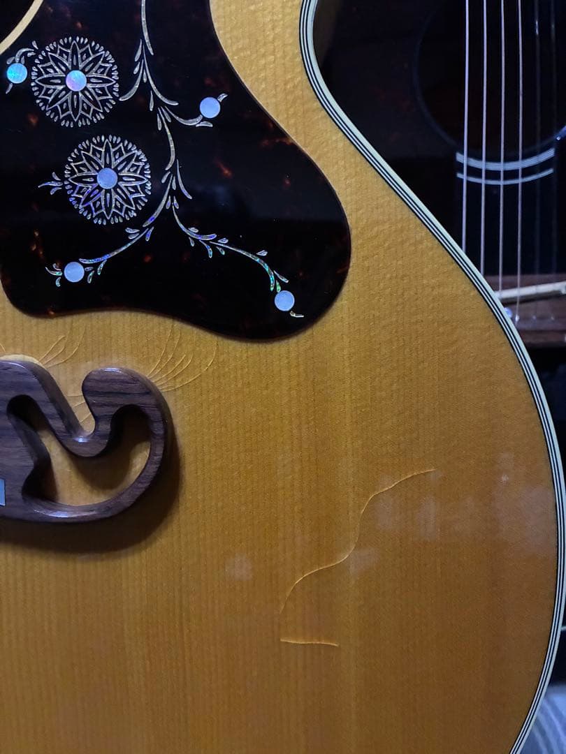 ギブソンJ 200 100周年限定モデル