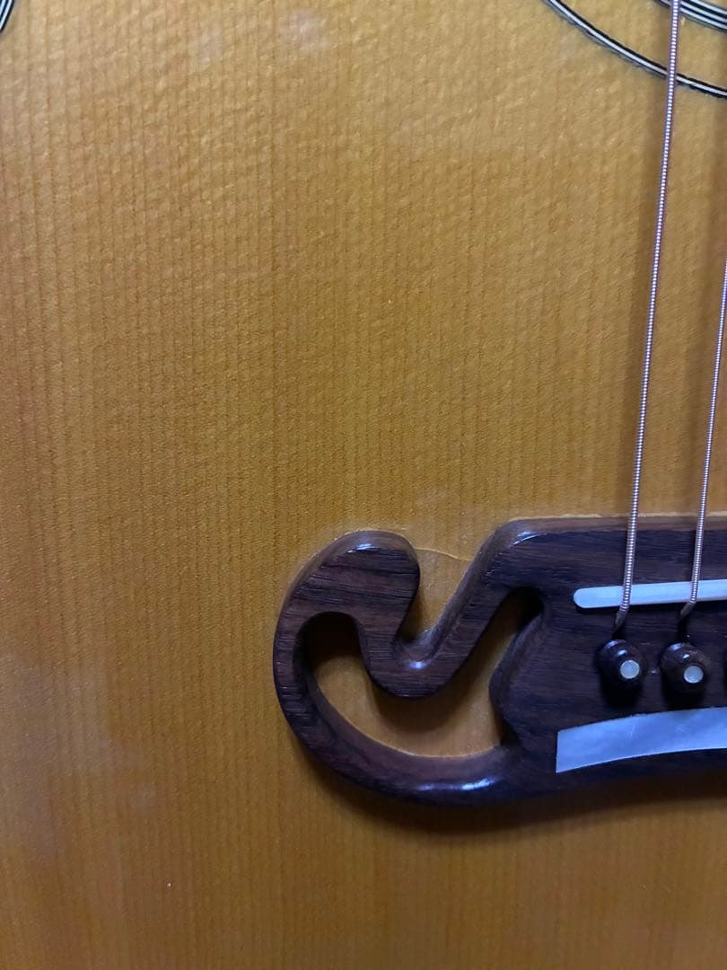 ギブソンJ 200 100周年限定モデル