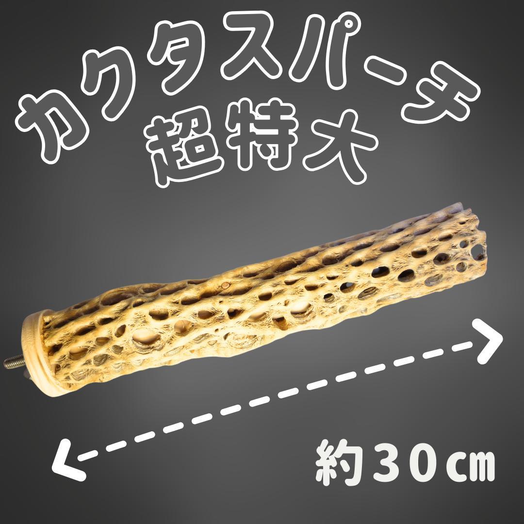 リバティ☆さま専用カクタス　パーチ　特注品