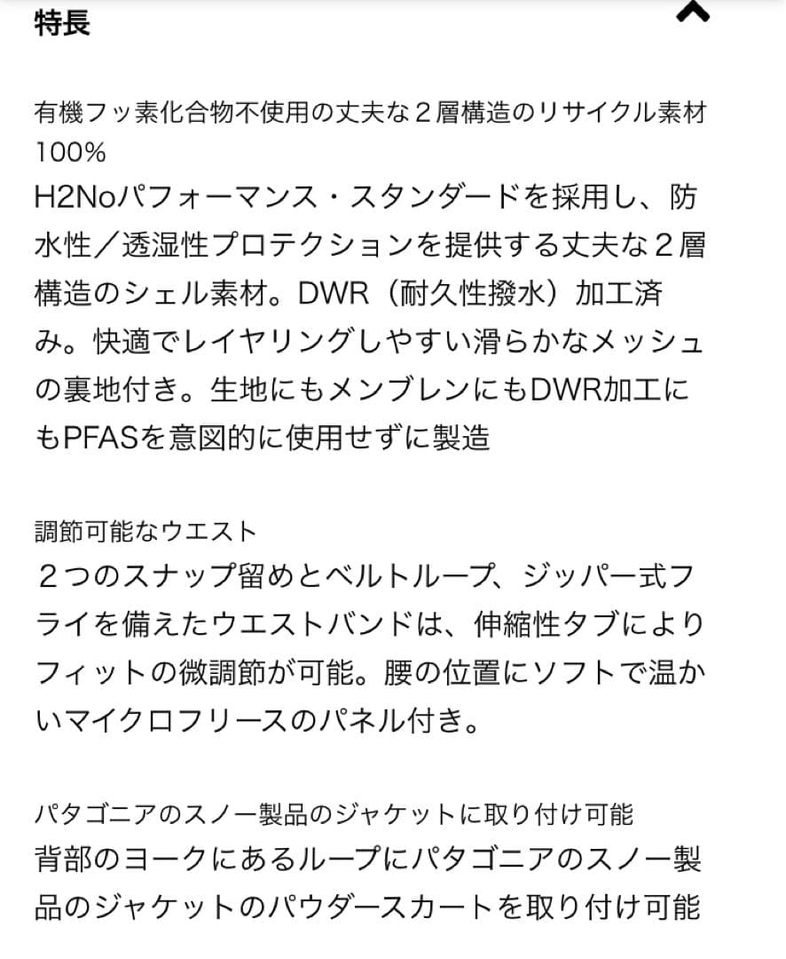 Patagonia メンズ・パウダー・タウン・パンツ（ショート）XS