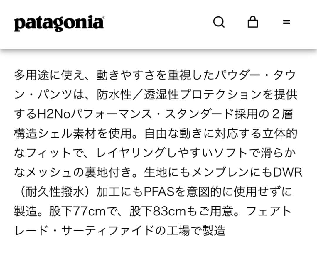 Patagonia メンズ・パウダー・タウン・パンツ（ショート）XS