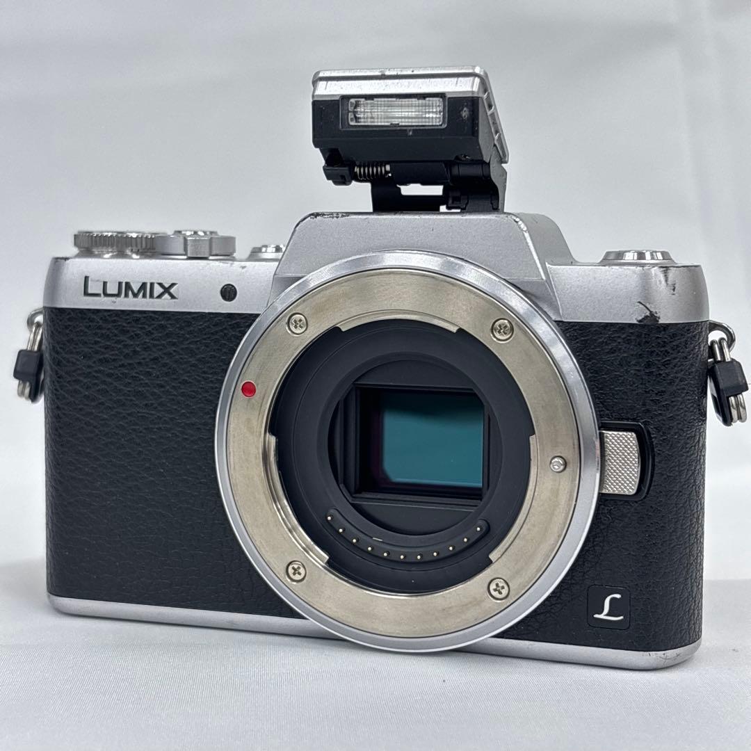 動作確認済 Panasonic LUMIX DMC-GF7 バッテリー 充電器