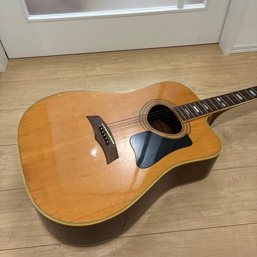 激レア！TF モーリス　MORRIS W-621R schallerペグです