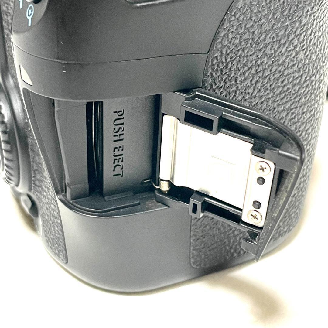 高速AF✨ Canon EOS 70D 望遠レンズセット イベントやペット撮影