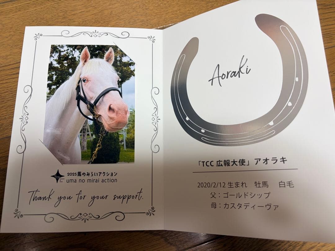 Aプロフ必須次回発送　