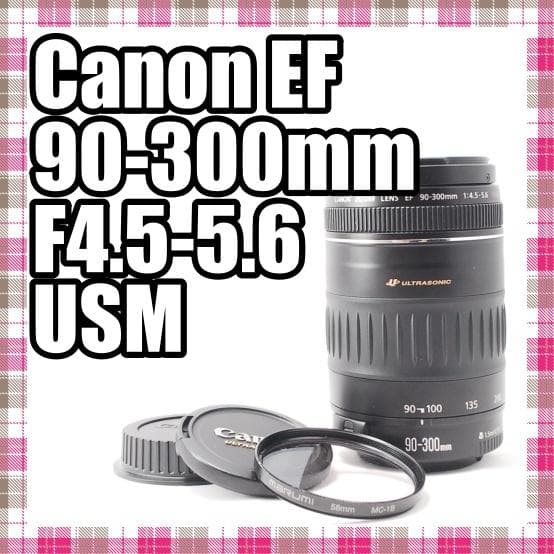 ✨望遠レンズ✨美品✨Canon EF 90-300mm F4.5-5.6 USM