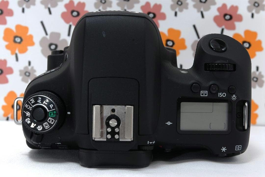 ❤Canon 8000D❤Wi-Fi搭載で簡単スマホ転送❤カメラバック付き❤