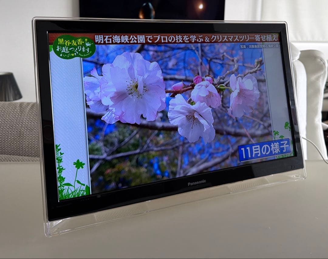 Panasonic VIERA UN-19F5D 19インチ