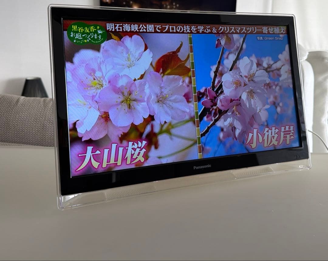 Panasonic VIERA UN-19F5D 19インチ