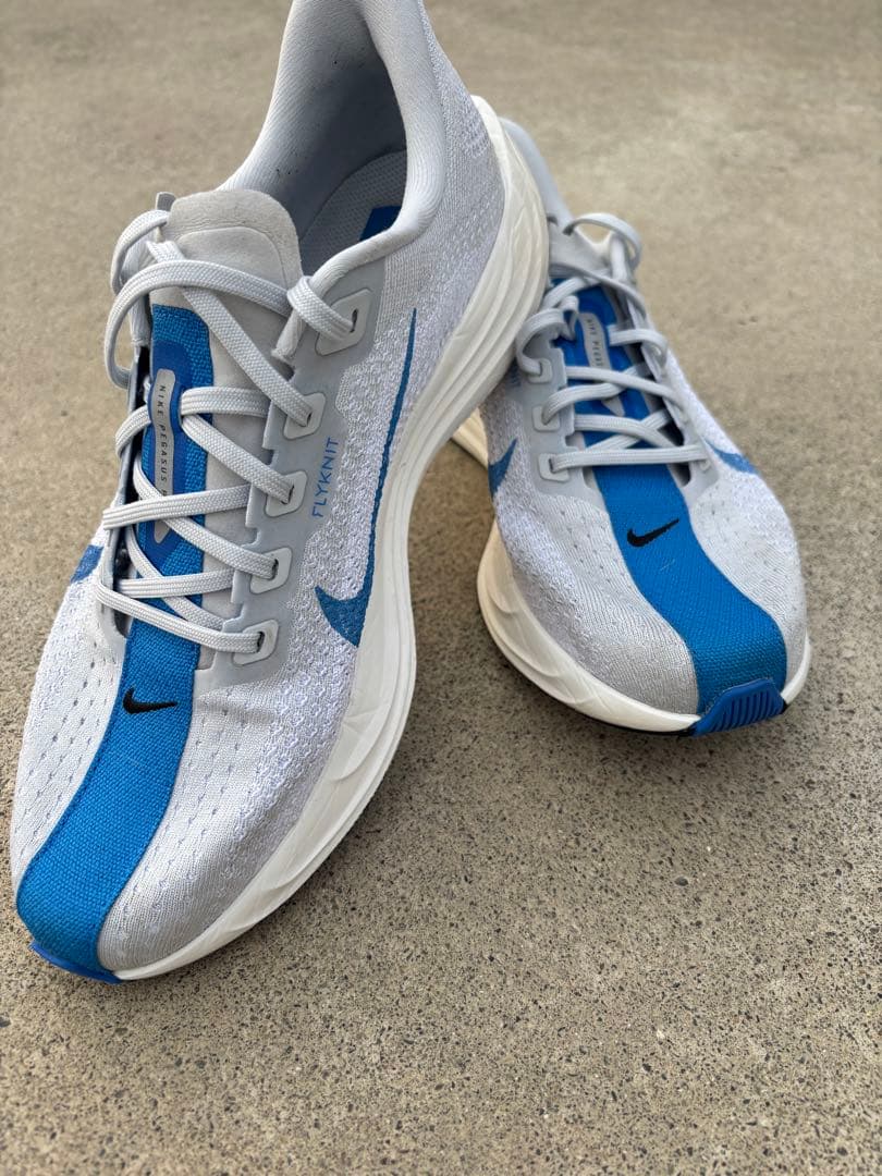 美品　ナイキペガサスプラス　27cm