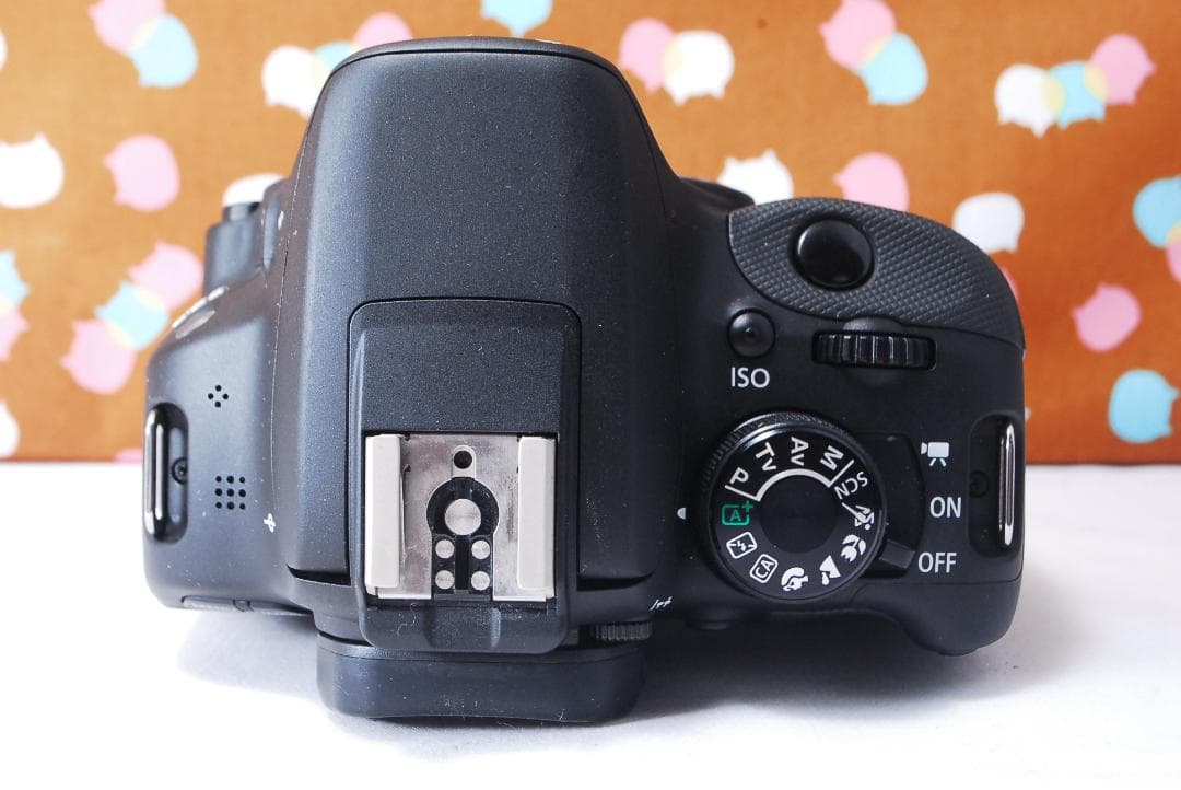 ✨ショット数2183回✨超美品✨Canon kiss X7 ダブルレンズセット