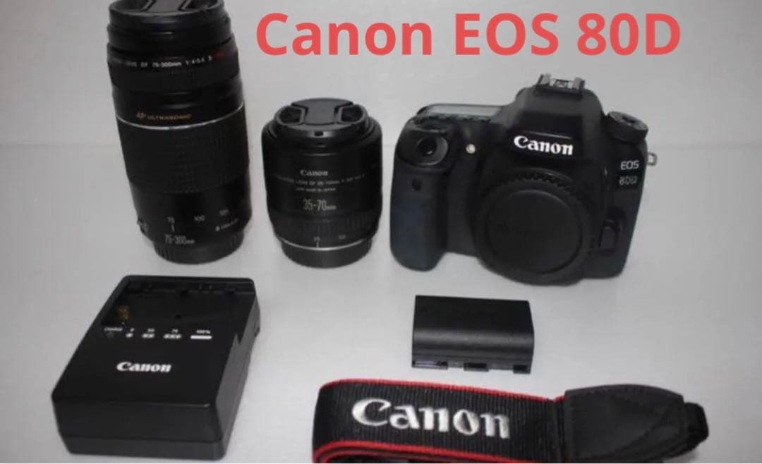 オススメ Canon EOS 80D標準&望遠ダブルレンズセット