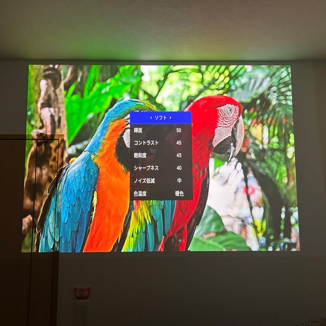 【ドット抜けなし】popIn Aladdin 2PA20U01DJ